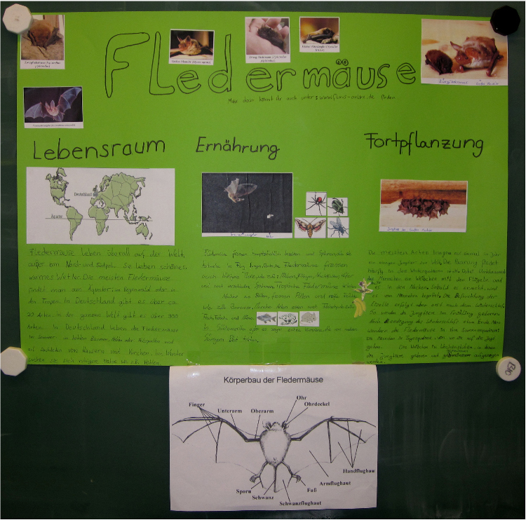 Bio Plakate8