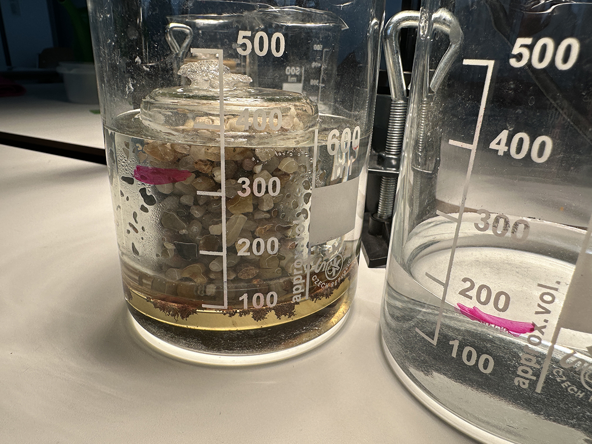 Experiment 2 Umwelt AG KlimaArena